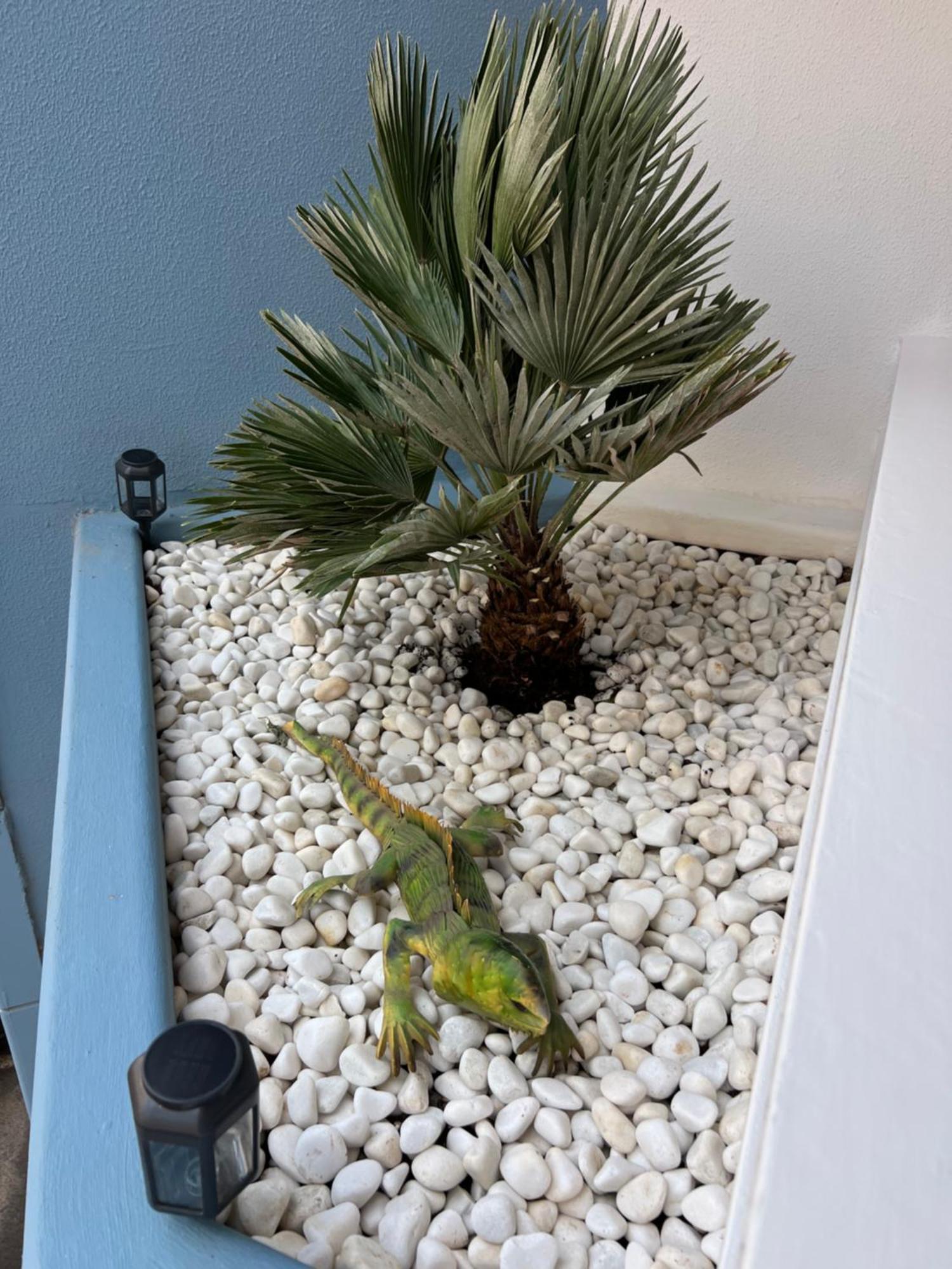 Air Conditioning, Private Parking And Fully Equipped Kitchen In Hotel Room In Golf Del Sur, Tenerife サンミゲル・デ・アボナ エクステリア 写真